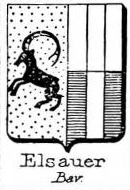 Elsauer Coat of Arms / Family Crest 0