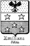 Emiliani Coat of Arms / Family Crest 2