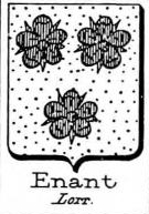 Enant Coat of Arms / Family Crest 0