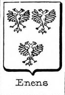 Enens Coat of Arms / Family Crest 0