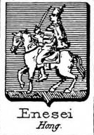 Enesei Coat of Arms / Family Crest 0