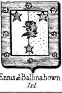 Ennis Coat of Arms / Family Crest 0