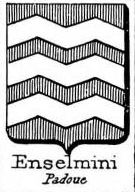 Enselmini Coat of Arms / Family Crest 0