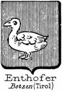 Enthofer Coat of Arms / Family Crest 0