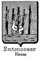 Entmooser Coat of Arms / Family Crest 0
