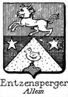 Entzensperger Coat of Arms / Family Crest 0