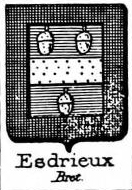 Esdrieux Coat of Arms / Family Crest 0