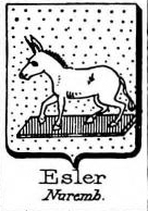 Esler Coat of Arms / Family Crest 1