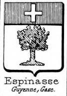 Espinasse Coat of Arms / Family Crest 2