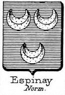Espinay Coat of Arms / Family Crest 1
