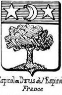 Espinol Coat of Arms / Family Crest 0