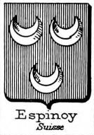 Espinoy Coat of Arms / Family Crest 3