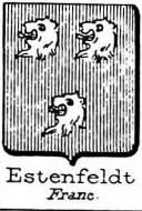 Estenfeldt Coat of Arms / Family Crest 0
