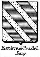 Esteve Coat of Arms / Family Crest 4