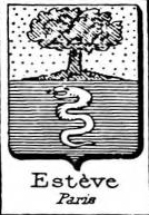 Esteve Coat of Arms / Family Crest 2