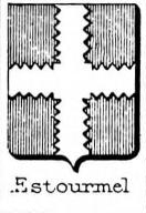 Estourmel Coat of Arms / Family Crest 1