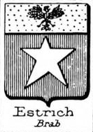 Estrich Coat of Arms / Family Crest 0