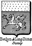 Evelyn Coat of Arms / Family Crest 4