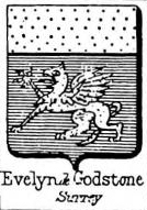 Evelyn Coat of Arms / Family Crest 3