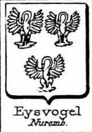 Eysvogel Coat of Arms / Family Crest 0