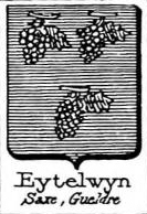 Eytelwyn Coat of Arms / Family Crest 0