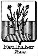 Faulhaber Coat of Arms / Family Crest 3