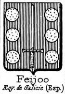 Feijoo Coat of Arms / Family Crest 1