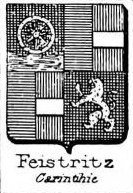 Feistritz Coat of Arms / Family Crest 0