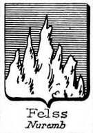 Felss Coat of Arms / Family Crest 1