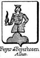 Feyer Coat of Arms / Family Crest 1