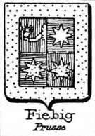 Fiebig Coat of Arms / Family Crest 0