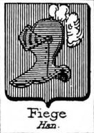 Fiege Coat of Arms / Family Crest 0