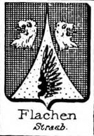 Flachen Coat of Arms / Family Crest 0