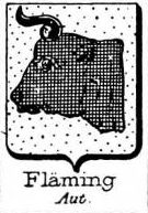 Flaming Coat of Arms / Family Crest 1