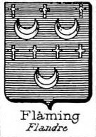 Flaming Coat of Arms / Family Crest 0