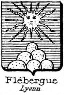 Flebergue Coat of Arms / Family Crest 0
