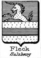 Fleck Coat of Arms / Family Crest 1