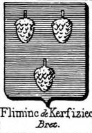 Fliminc Coat of Arms / Family Crest 0
