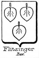 Flitzinger Coat of Arms / Family Crest 1