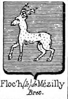 Floch Coat of Arms / Family Crest 2