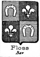 Floss Coat of Arms / Family Crest 1