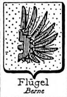 Flugel Coat of Arms / Family Crest 0