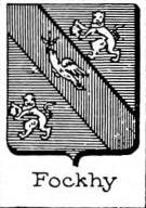 Fockhy Coat of Arms / Family Crest 0