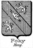 Foky Coat of Arms / Family Crest 1
