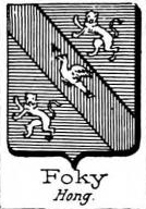 Foky Coat of Arms / Family Crest 0