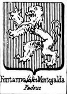Fontaniva Coat of Arms / Family Crest 1