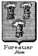 Forestier Coat of Arms / Family Crest 16
