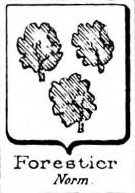 Forestier Coat of Arms / Family Crest 17