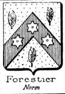 Forestier Coat of Arms / Family Crest 18