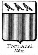 Fornacei Coat of Arms / Family Crest 0